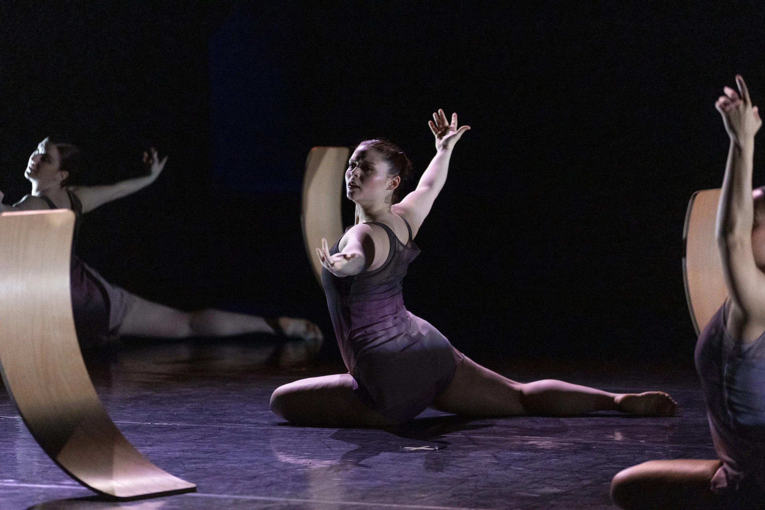 Events and Tickets — Aerial Dance Chicago